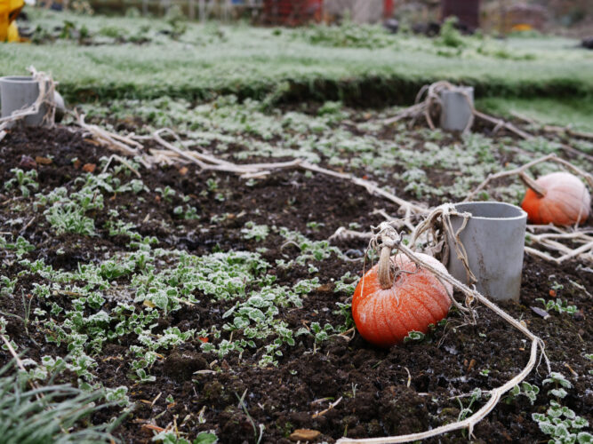 5 Steps to Winter Farm Prep